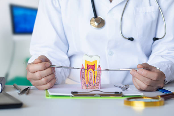 Best Emergency Dentist for Special Needs Patients in Cheshire Village, CT